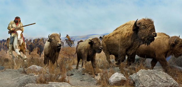 Photo of the 'Red River Buffalo Hunt' diorama in the Orientation Gallery of The Manitoba Museum, Winnipeg.