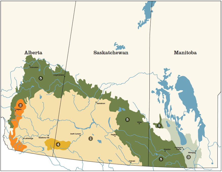 A map showing the geographical extent of three different types of prairie found in western Canada: fescue, mixed grass and tall grass.