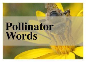 Pollinator words